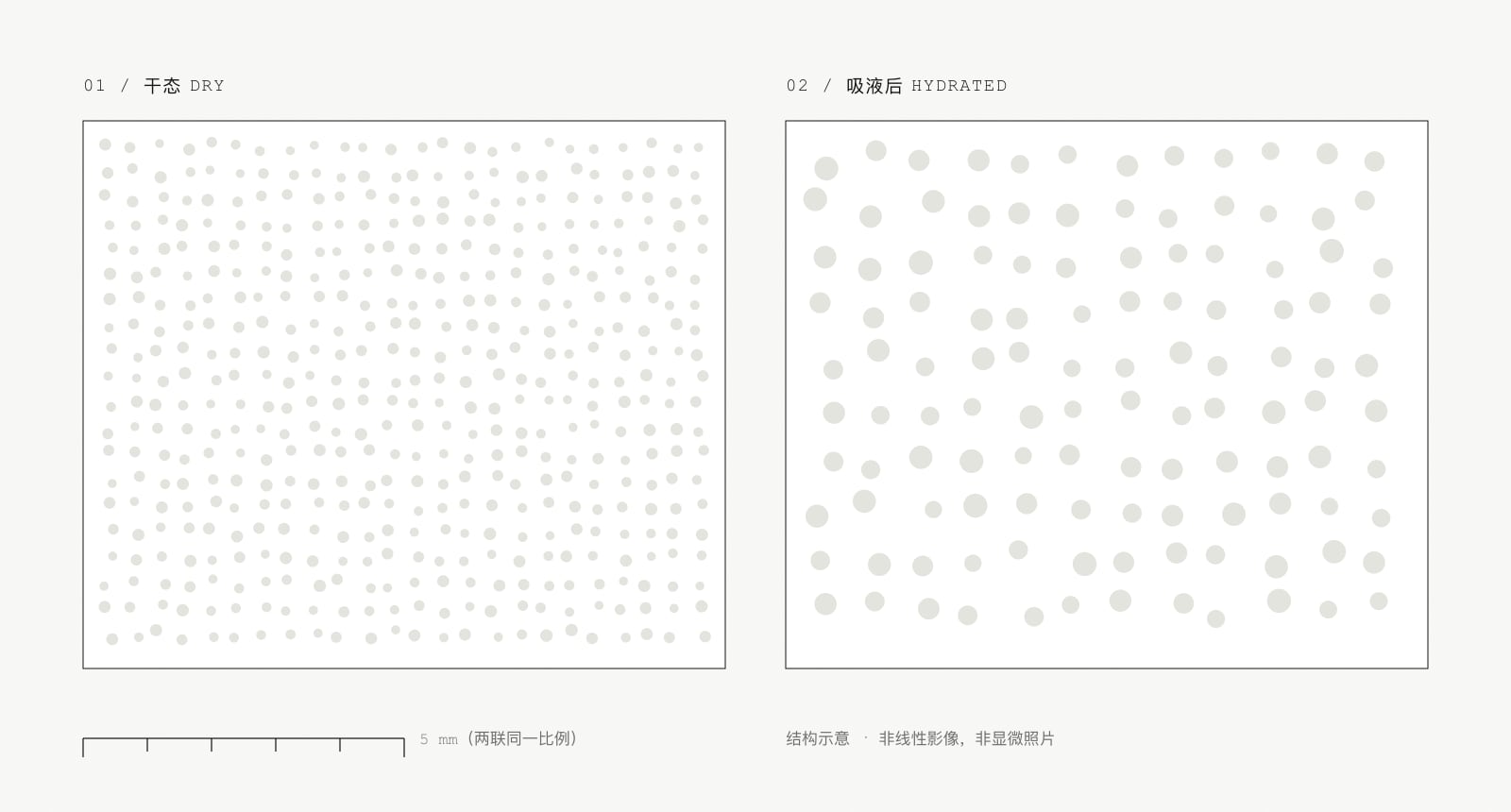 多糖凝胶海绵孔隙结构示意:左侧干态孔径小、壁厚,右侧吸液后孔径扩大、壁变薄